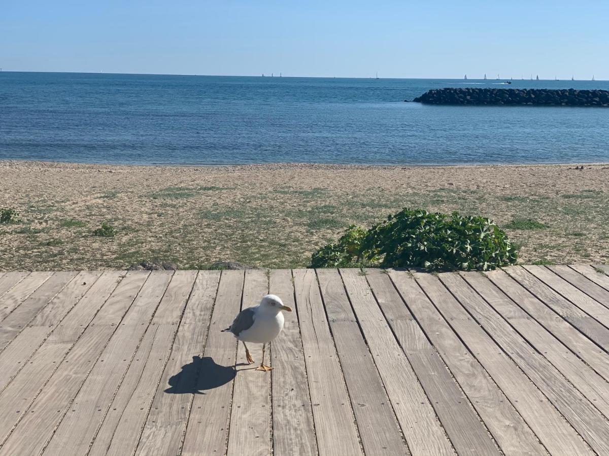 Studio Face A La Mer 4 Couchages - Gratuits Piscine Tennis Et Un Parking Prive Rare Et Tres Utile - Vue Magnifique Sur La Mer - Agreable En Toutes Saisons Ile Des Pecheurs - La Brigantine - Emplacement Et Vue Rares Au Cap D'Agde Bagian luar foto